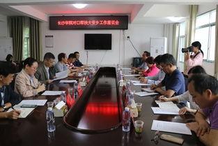 大安县联合乡新闻头条,聚焦乡村振兴新篇章